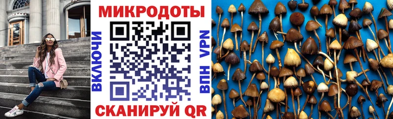 Псилоцибиновые грибы мухоморы  закладка  Кремёнки 